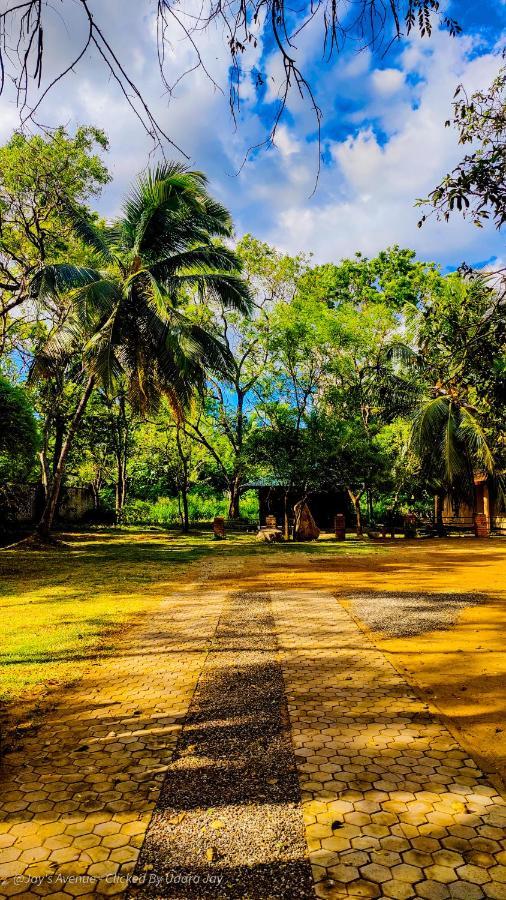 Jay'S Avenue Hotel Udawalawe Luaran gambar